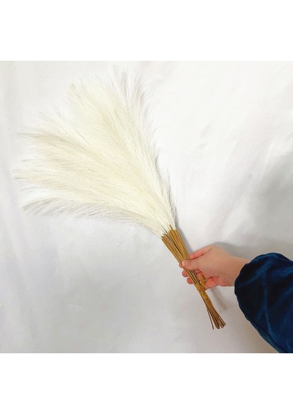 Bej 55 cm 30 Adet 55 cm Sahte Pampas Çim Yapay Görkemli Çim Vazo Dolgu Çiçek Ev, Oturma Odası, Mutfak, Düğün, Boho Dekor Için (Yurt Dışından)