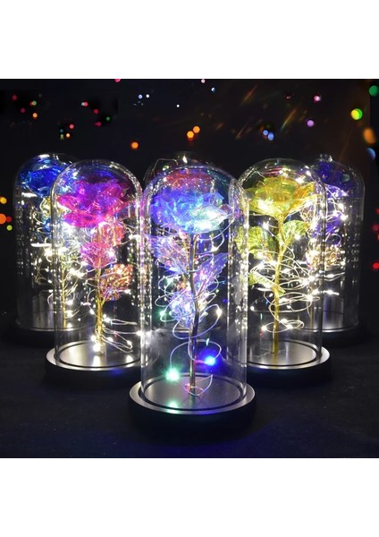Ipek Gül-Siyah Kadınlar Için Hediyeler Güzel ve Çirkin Camda Korunmuş Güller Galaxy Rose LED Işık Yapay Çiçek Kızlar Için Doğum Günü Hediyesi (Yurt Dışından) fiyatları