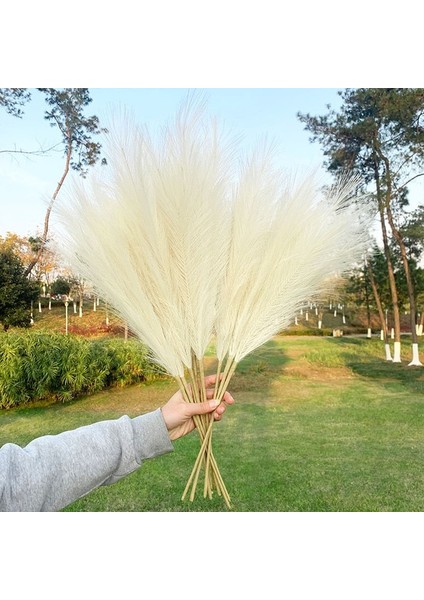 70 cm V02 5 Adet Sahte Pampas Çim Büyük 120/100/85 cm Çiçek Buketi Sahte Yapay Pampas Çim Dekor Uzun Kabarık Oturma Odası Dekor Kaynaklanıyor (Yurt Dışından)