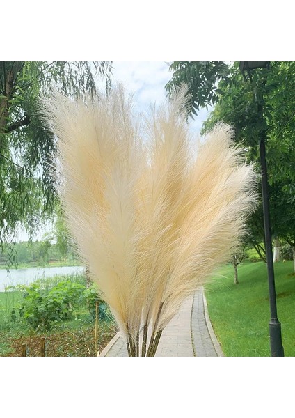70 cm V02 5 Adet Sahte Pampas Çim Büyük 120/100/85 cm Çiçek Buketi Sahte Yapay Pampas Çim Dekor Uzun Kabarık Oturma Odası Dekor Kaynaklanıyor (Yurt Dışından) indirimleri