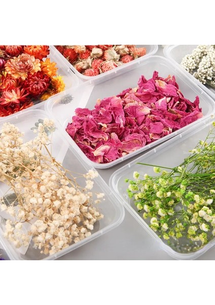 Beyaz Yıldız 6g Doğal Bitki Kurutulmuş Çiçek Malzeme Paketi Dıy Aromaterapi Balmumu Dilim Hediye Kutusu Epoksi Reçine Takı Yapımı Çiçek Aksesuarları (Yurt Dışından) modelleri