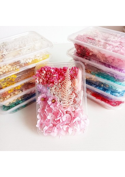 1-10 Dıy Kurutulmuş Çiçek Bitki Yapımı Için Telefon Kılıfı Mumlar El Yapımı El Sanatları Epoksi Reçine Kolye Kolye Mücevher Kutusu Kurutulmuş Yapraklar (Yurt Dışından) fiyatları