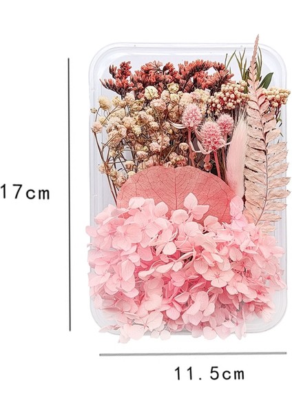 1-10 Dıy Kurutulmuş Çiçek Bitki Yapımı Için Telefon Kılıfı Mumlar El Yapımı El Sanatları Epoksi Reçine Kolye Kolye Mücevher Kutusu Kurutulmuş Yapraklar (Yurt Dışından) modelleri