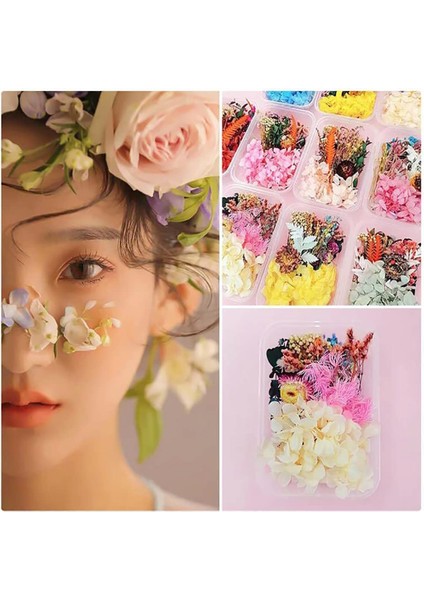 1-10 Dıy Kurutulmuş Çiçek Bitki Yapımı Için Telefon Kılıfı Mumlar El Yapımı El Sanatları Epoksi Reçine Kolye Kolye Mücevher Kutusu Kurutulmuş Yapraklar (Yurt Dışından) fırsatları