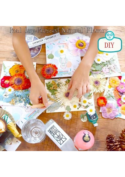 1-10 Dıy Kurutulmuş Çiçek Bitki Yapımı Için Telefon Kılıfı Mumlar El Yapımı El Sanatları Epoksi Reçine Kolye Kolye Mücevher Kutusu Kurutulmuş Yapraklar (Yurt Dışından) indirimleri