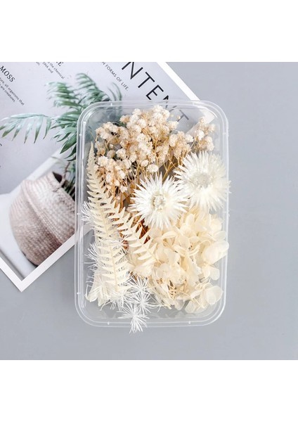 Paketi Q 1 Kutu Beyaz Kurutulmuş Çiçekler Dıy Aromaterapi Mum Yapımı Için Epoksi Reçine Kalıp Takı Aksesuarları Düğün Buket Ev Dekorasyon (Yurt Dışından) fiyatları