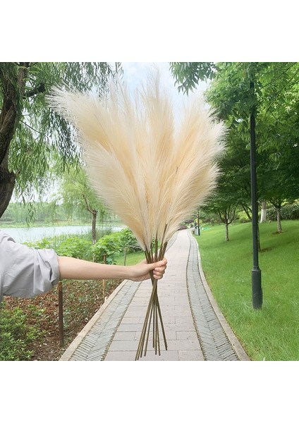 B08 5 Adet 98 cm Pampas Çim Ipek Yapay Bitki Kamış Düğün Dekorasyon Için Ev Bahçe Dekor Oturma Odası Süs Sahte Çiçekler (Yurt Dışından)