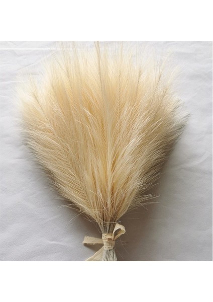 Sarı 42 cm 10 Adet Sahte Pampas Çim Bej 10 Adet, Vazo Için Küçük Yapay Pompas Çim Dekor, Ev Düğün Boho Dekor Için Sahte Kabarık Pampas Çiçek (Yurt Dışından)