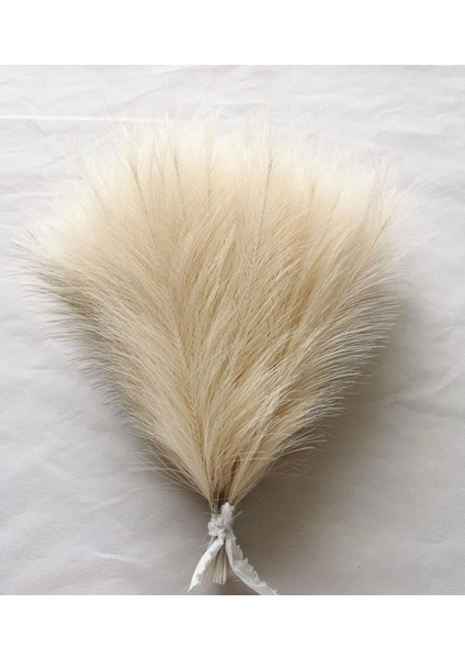 Sarı 42 cm 10 Adet Sahte Pampas Çim Bej 10 Adet, Vazo Için Küçük Yapay Pompas Çim Dekor, Ev Düğün Boho Dekor Için Sahte Kabarık Pampas Çiçek (Yurt Dışından)