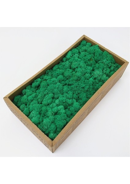 07 200G 1000G Simülasyon Bitkiler Ebedi Yaşam Yosun/bahçe Ev Dekor Duvar Dıy Çiçek Malzeme Mini Bahçe Mikro Peyzaj Sahte Yosun Hediye (Yurt Dışından)