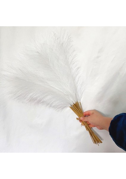 Beyaz 55CM 20PCS 5/10/20PCS 55CM Yapay Pampas Çim Sahte Görkemli Çim Vazo Dolgu Çiçek Ev, Oturma Odası, Mutfak, Parti, Boho Dekor (Yurt Dışından)
