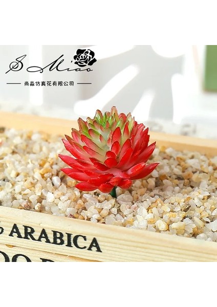 Jiwawa Kırmızı Yeşil 6 cm x 4 cm Yapay Bitki Pvc Mini Sahte Bitkiler Yapay Etli Bitkiler Çiçek Aranjmanı Aksesuarları Ev Bahçe Düğün Dekor Için (Yurt Dışından) fiyatları