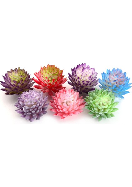 Jiwawa Kırmızı Yeşil 6 cm x 4 cm Yapay Bitki Pvc Mini Sahte Bitkiler Yapay Etli Bitkiler Çiçek Aranjmanı Aksesuarları Ev Bahçe Düğün Dekor Için (Yurt Dışından) modelleri