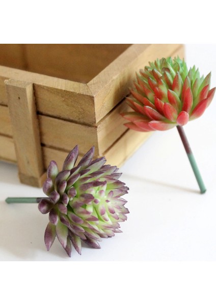 Jiwawa Kırmızı Yeşil 6 cm x 4 cm Yapay Bitki Pvc Mini Sahte Bitkiler Yapay Etli Bitkiler Çiçek Aranjmanı Aksesuarları Ev Bahçe Düğün Dekor Için (Yurt Dışından) fırsatları