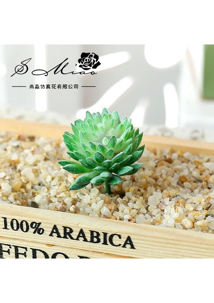 Jiwawa Kırmızı Yeşil 6 cm x 4 cm Yapay Bitki Pvc Mini Sahte Bitkiler Yapay Etli Bitkiler Çiçek Aranjmanı Aksesuarları Ev Bahçe Düğün Dekor Için (Yurt Dışından) indirimleri