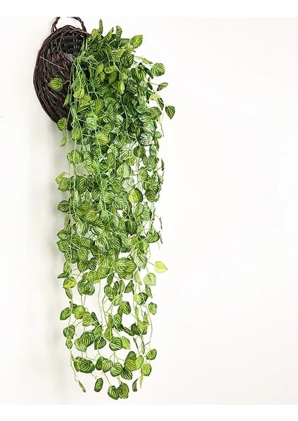 90 cm 1 Adet Yapay Bitki Sarmaşıklar Duvar Asılı Rattan Yapraklar Dalları Açık Bahçe Ev Dekorasyon Plastik Sahte Ipek Yaprak Yeşil Bitki Sarmaşık (Yurt Dışından)