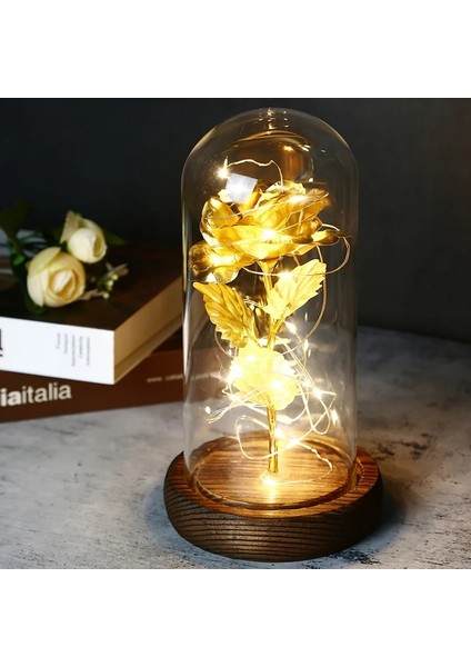 Pembe Huadeng (Yurt Dışından) fiyatları