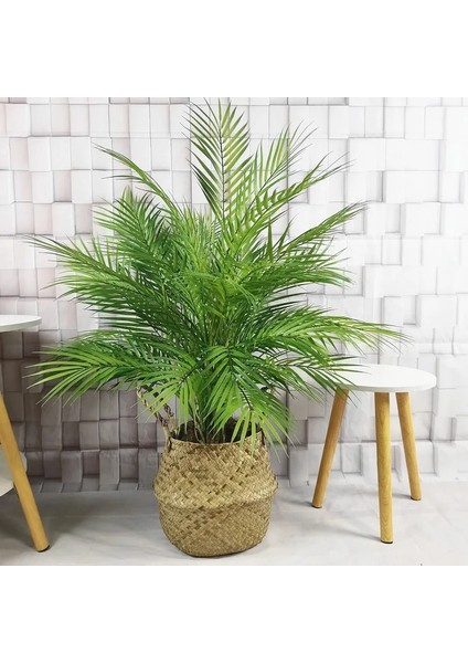 80 cm 5 Yaprak 70-125 cm Yapay Büyük Nadir Palmiye Ağacı Yeşil Gerçekçi Tropikal Bitkiler Kapalı Plastik Sahte Ağaç Ev Otel Noel Dekor (Yurt Dışından) modelleri