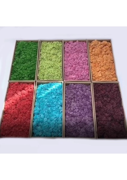 17 500G 1000G Yapay Bitkiler Ebedi Yaşam Yosun/bahçe Ev Dekor Duvar Dıy Çiçek Malzemesi Mini Bahçe Mikro Peyzaj Sahte Yosun Hediye (Yurt Dışından) fiyatları