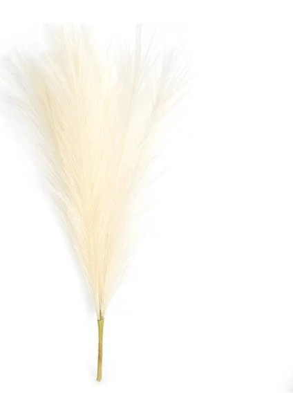 A3 45 cm Yapay Kamış Pampas Çim Buket Düğün Tatil Parti Oturma Odası Balkon Ev Dekorasyon Yüksek Kaliteli Sahte Çiçek (Yurt Dışından) fiyatları