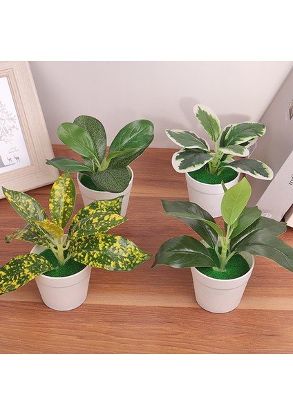 F Mini Masaüstü Küçük Saksı Yapay Aloe Vera Bitki Bonsai Bitki Sahte Çiçek Masası Saksı Dekorasyon Ev Bahçe Dekorasyonu (Yurt Dışından) fırsatları