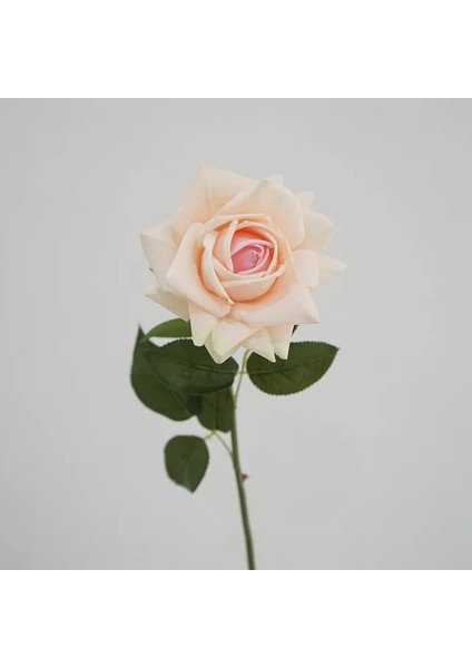 Pembe Simülasyon Austin Gül Çiçek Hissediyorum Nemlendirici Tek Kapalı Masa Dekorasyon Zemin Sahne Düğün Sahte Buket Ev Kaynağı (Yurt Dışından)