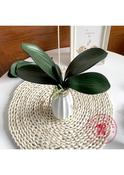 Yeşil Kök 22 cm Yeni Simülasyon Bitkiler Phalaenopsis Yaprağı Dekoratif Çiçekler Yardımcı Malzeme Çiçek Dekorasyon Orkide Yaprakları Mikro Peyzaj (Yurt Dışından)