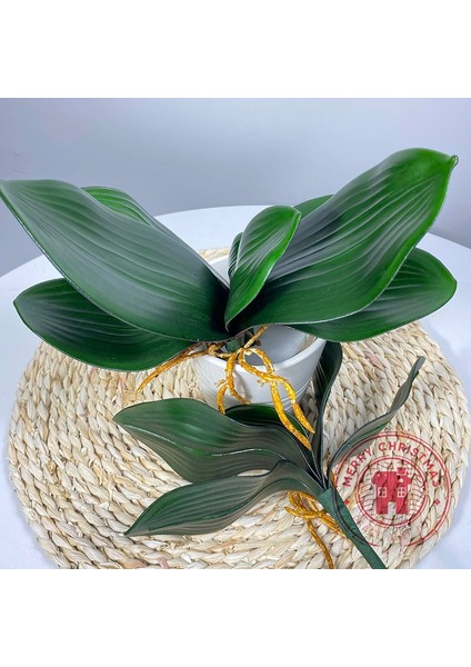 Yeşil Kök 22 cm Yeni Simülasyon Bitkiler Phalaenopsis Yaprağı Dekoratif Çiçekler Yardımcı Malzeme Çiçek Dekorasyon Orkide Yaprakları Mikro Peyzaj (Yurt Dışından) fiyatları
