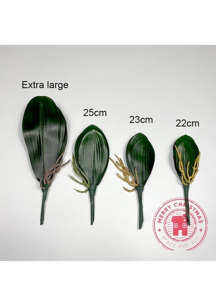 Yeşil Kök 22 cm Yeni Simülasyon Bitkiler Phalaenopsis Yaprağı Dekoratif Çiçekler Yardımcı Malzeme Çiçek Dekorasyon Orkide Yaprakları Mikro Peyzaj (Yurt Dışından) modelleri