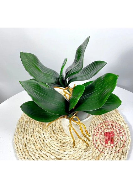 Yeşil Kök 22 cm Yeni Simülasyon Bitkiler Phalaenopsis Yaprağı Dekoratif Çiçekler Yardımcı Malzeme Çiçek Dekorasyon Orkide Yaprakları Mikro Peyzaj (Yurt Dışından) fırsatları