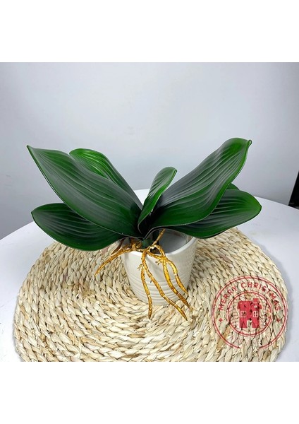Yeşil Kök 22 cm Yeni Simülasyon Bitkiler Phalaenopsis Yaprağı Dekoratif Çiçekler Yardımcı Malzeme Çiçek Dekorasyon Orkide Yaprakları Mikro Peyzaj (Yurt Dışından) indirimleri