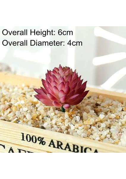 Purplered Jiwalian Yeşil Pembe Sarı Zebra Aloe Yapay Sulu Meyveler Bitkiler Ev Bahçe Dekorasyonu Dıy Bitkiler Duvar Plastik Sahte Bitkiler Yükseklik = 12CM (Yurt Dışından)