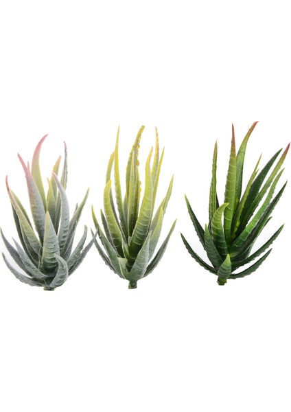 Purplered Jiwalian Yeşil Pembe Sarı Zebra Aloe Yapay Sulu Meyveler Bitkiler Ev Bahçe Dekorasyonu Dıy Bitkiler Duvar Plastik Sahte Bitkiler Yükseklik = 12CM (Yurt Dışından) fırsatları