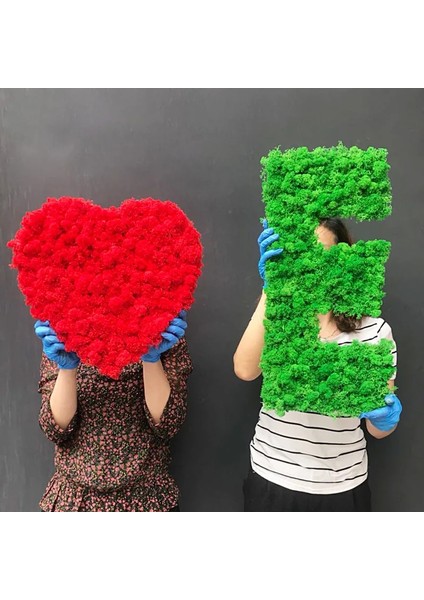 Stil 4 20G 20G Yapay Bitki Sonsuz Yaşam Yosun/bahçe Ev Dekorasyon Duvar Dıy Çiçek Malzemesi Mini Bahçe Mikro Peyzaj Aksesuarları (Yurt Dışından) indirimleri