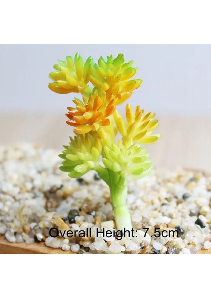 Fenglincao Sarı Yapay Yeşil Mor Kırmızı Mavi Etli Bitkiler Ev Bahçe Düğün Dekorasyon Mini Masaüstü Bonsai Dıy Plante Artificielle (Yurt Dışından) fiyatları