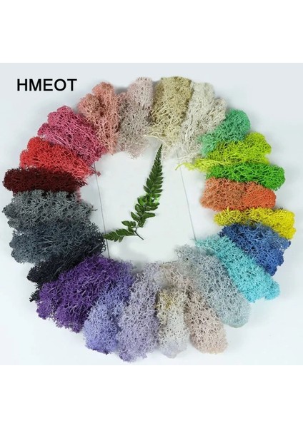 E 200G 1000G Simülasyon Bitkiler Ebedi Yaşam Yosun/bahçe Ev Dekor Duvar Dıy Çiçek Malzemesi Mini Bahçe Mikro Peyzaj Sahte Yosun Hediye (Yurt Dışından) indirimleri