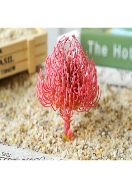 Zr Yudiehua Kırmızı Yapay Çok Stil Akın Etli Bitkiler Dıy Ev Bahçe Ofis Düğün Dekorasyon Parti Mini Bonsai Plante Artificielle (Yurt Dışından)