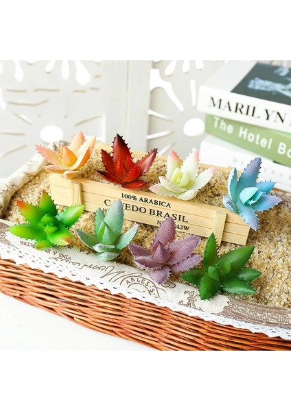 Zr Yudiehua Kırmızı Yapay Çok Stil Akın Etli Bitkiler Dıy Ev Bahçe Ofis Düğün Dekorasyon Parti Mini Bonsai Plante Artificielle (Yurt Dışından) modelleri