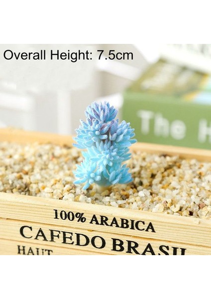 Fb Bo Xue Cao Yeşil Pembe Sarı Zebra Aloe Yapay Sulu Meyveler Bitkiler Ev Bahçe Dekorasyonu Dıy Bitkiler Duvar Plastik Sahte Bitkiler Yükseklik = 12 cm (Yurt Dışından)