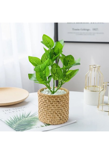 SS17 Yapay Bitkiler Yeşil Palmiye Yaprakları Noel Ev Düğün Bahçe Oturma Odası Yatak Odası Balkon Dekorasyon Sahte Plastik Çiçekler (Yurt Dışından) fırsatları