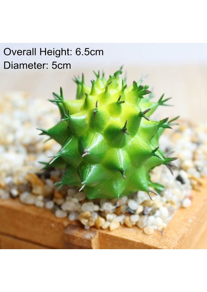 Yeşil Xianrenqiu Yeşil Yapay Succulents Bitkiler Ev Bahçe Yatak Odası Balkon Masaüstü Masa Mini Bonsai Düğün Parti Dekorasyon Sahte Bitkiler (Yurt Dışından) fiyatları