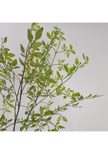 A3 Yapay Bitki Tek Nantian Bambu Şube Restoran Vazo Çiçek Aranjmanı Düğün Ev Dekorasyon (Yurt Dışından) fırsatları