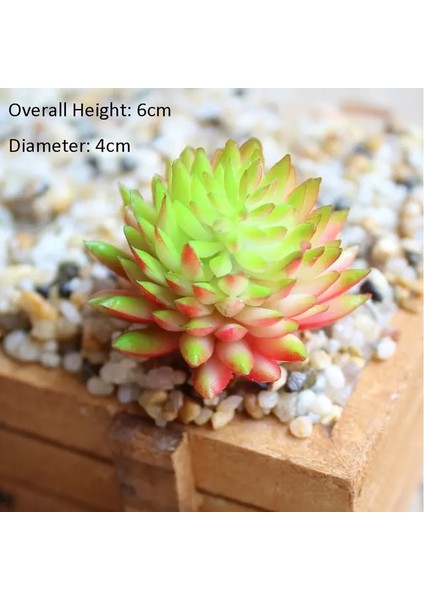Chunsejiwalian Çeşitli Yapay Etli Bitkiler Lotus Peyzaj Dekoratif Çiçek Mini Yeşil Sahte Succulents Bitki Bahçe Düzenleme Dekor (Yurt Dışından) fiyatları