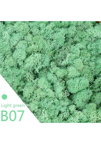 Y07 20 Gram 40/20G Yapay Ölümsüz Yosun Yeşil Sahte Bitki Ev Bahçe Oturma Odası Yeşillendirme Dekor Duvar Dolgu Çiçek Bitki Sahte Yosun (Yurt Dışından)