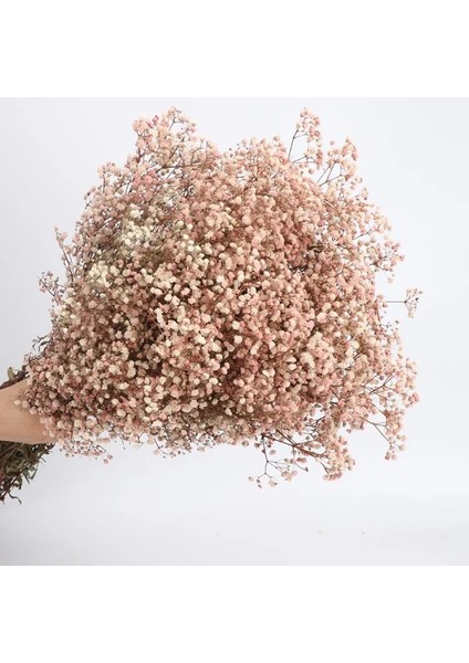 Dan Pembe 200G Kurutulmuş Çiçekler Bebeğin Nefes Buketi Fildişi Beyaz Çiçekler Ev Dekor Için Doğal Gypsophila Dalları Düğün Masa Dekor Çiçek (Yurt Dışından)