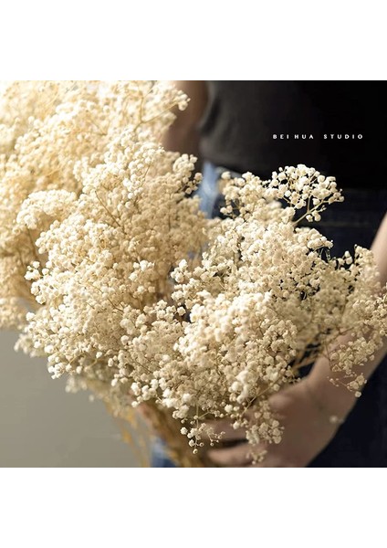 Dan Pembe 200G Kurutulmuş Çiçekler Bebeğin Nefes Buketi Fildişi Beyaz Çiçekler Ev Dekor Için Doğal Gypsophila Dalları Düğün Masa Dekor Çiçek (Yurt Dışından)