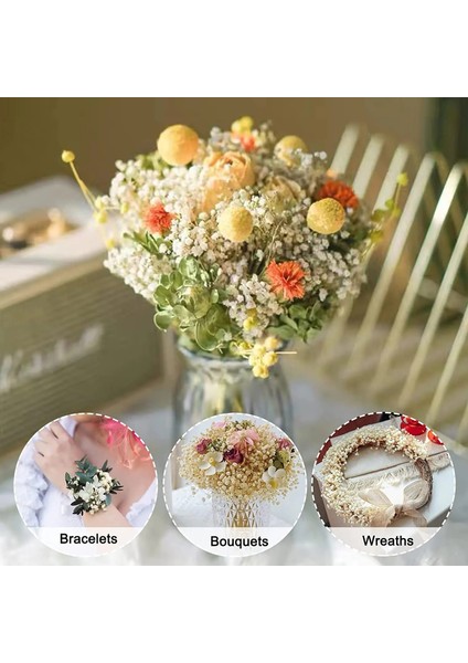 Dan Pembe 200G Kurutulmuş Çiçekler Bebeğin Nefes Buketi Fildişi Beyaz Çiçekler Ev Dekor Için Doğal Gypsophila Dalları Düğün Masa Dekor Çiçek (Yurt Dışından)