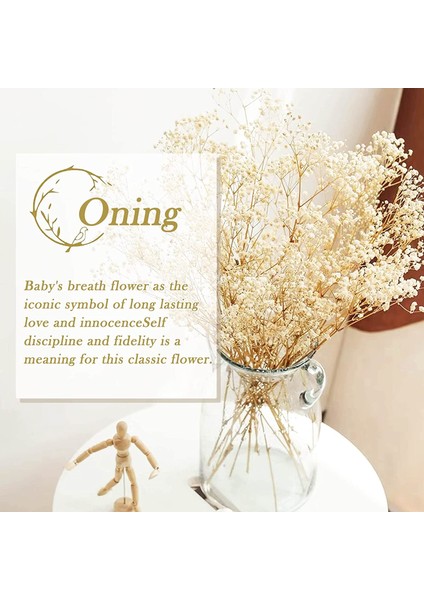 Dan Pembe 200G Kurutulmuş Çiçekler Bebeğin Nefes Buketi Fildişi Beyaz Çiçekler Ev Dekor Için Doğal Gypsophila Dalları Düğün Masa Dekor Çiçek (Yurt Dışından)