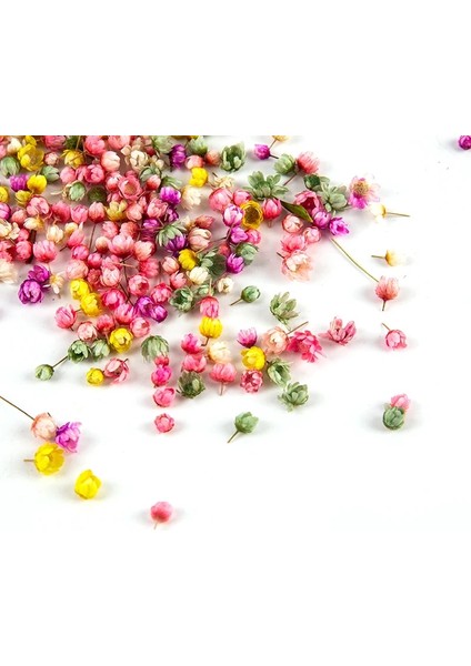 A2 200 Adet Gerçek Kurutulmuş Çiçekler Dıy Sanat Zanaat Epoksi Reçine Mum Yapımı Mücevherat Cam Kapak Topu Dolgu Kurutulmuş Çiçekler Aksesuarları (Yurt Dışından) indirimleri