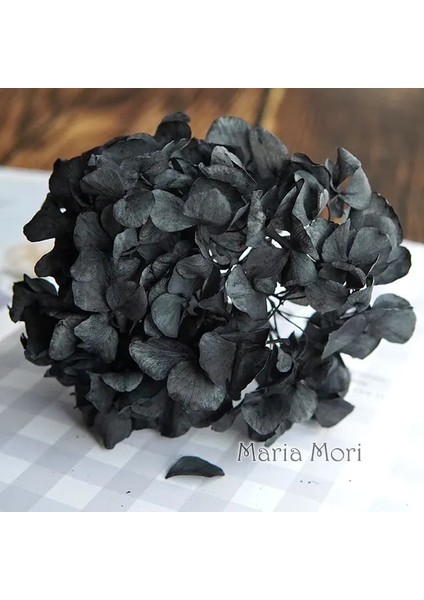 Renk M013 5g Büyük Yaprakları Macrophylla Korunmuş Ortanca Ofis Dekor Korunmuş Çiçekler Ev Dekorasyon Anna Ortanca Düğün Dekorasyon (Yurt Dışından)
